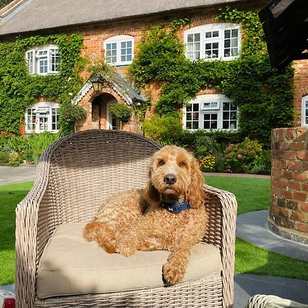 Little Woodside A Beautiful New Forest Self Contained Private Luxury Annexe Нью Милтон Экстерьер фото