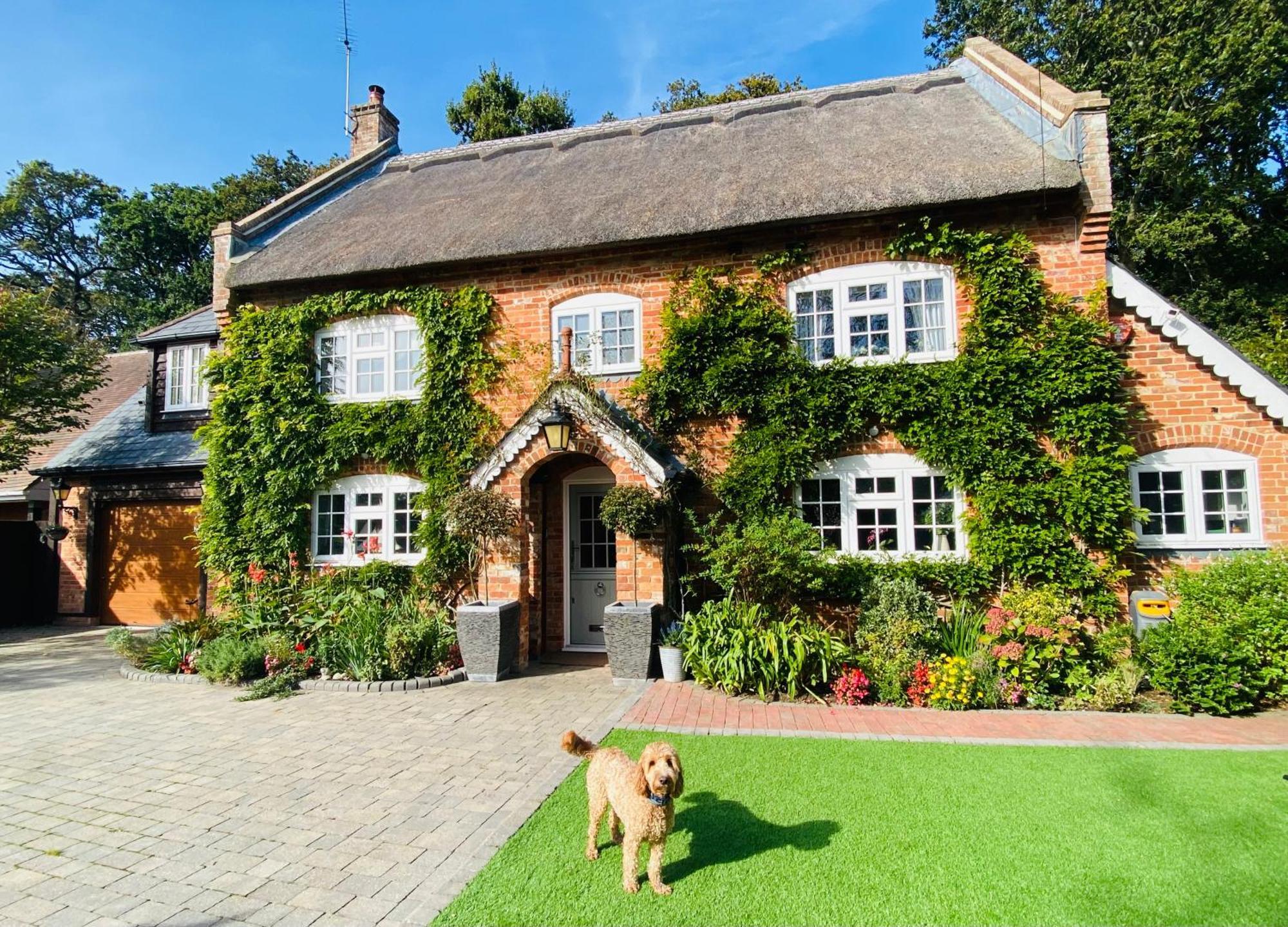 Little Woodside A Beautiful New Forest Self Contained Private Luxury Annexe Нью Милтон Экстерьер фото
