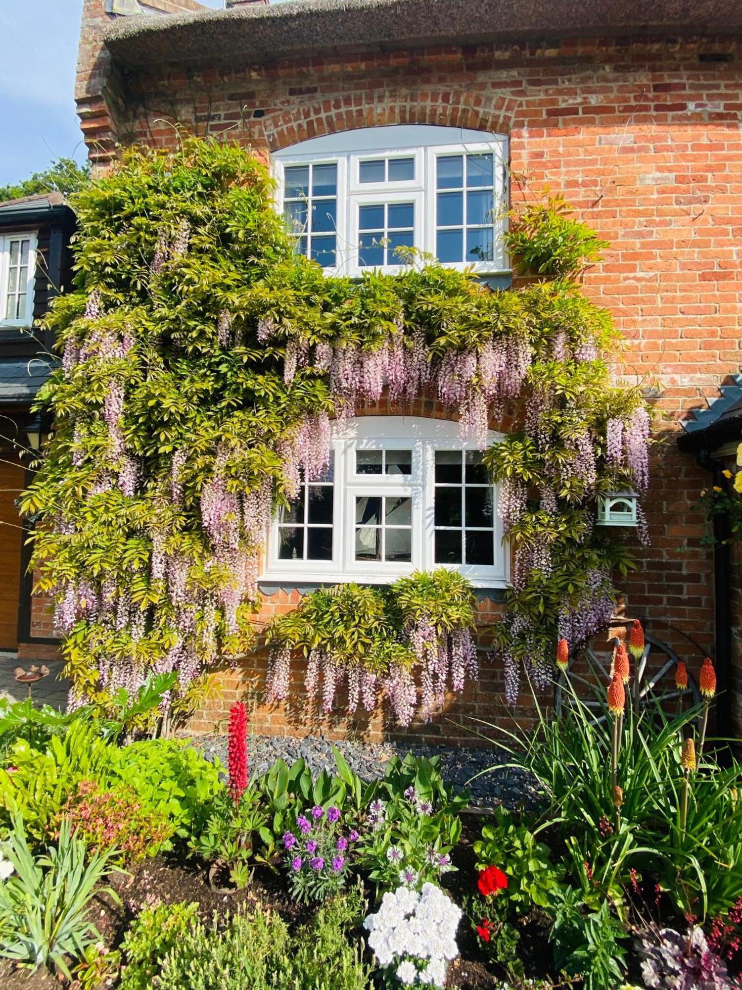 Little Woodside A Beautiful New Forest Self Contained Private Luxury Annexe Нью Милтон Экстерьер фото