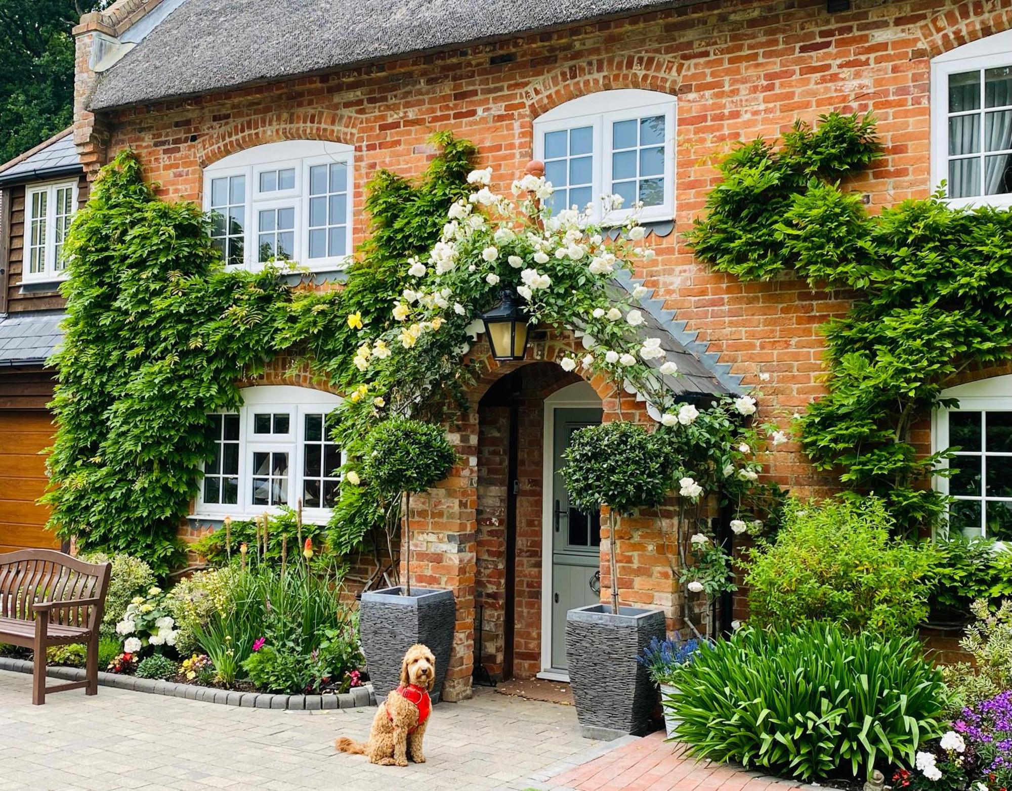 Little Woodside A Beautiful New Forest Self Contained Private Luxury Annexe Нью Милтон Экстерьер фото