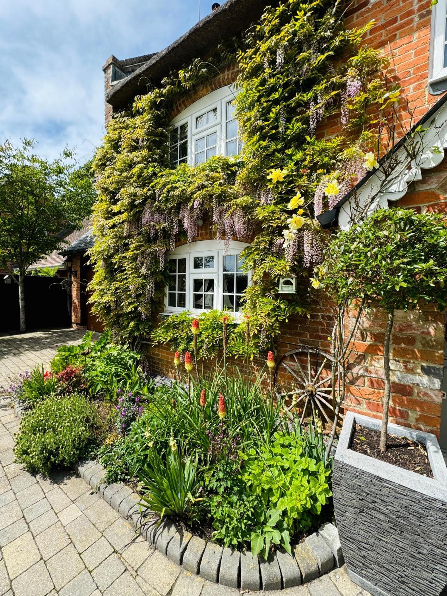 Little Woodside A Beautiful New Forest Self Contained Private Luxury Annexe Нью Милтон Экстерьер фото