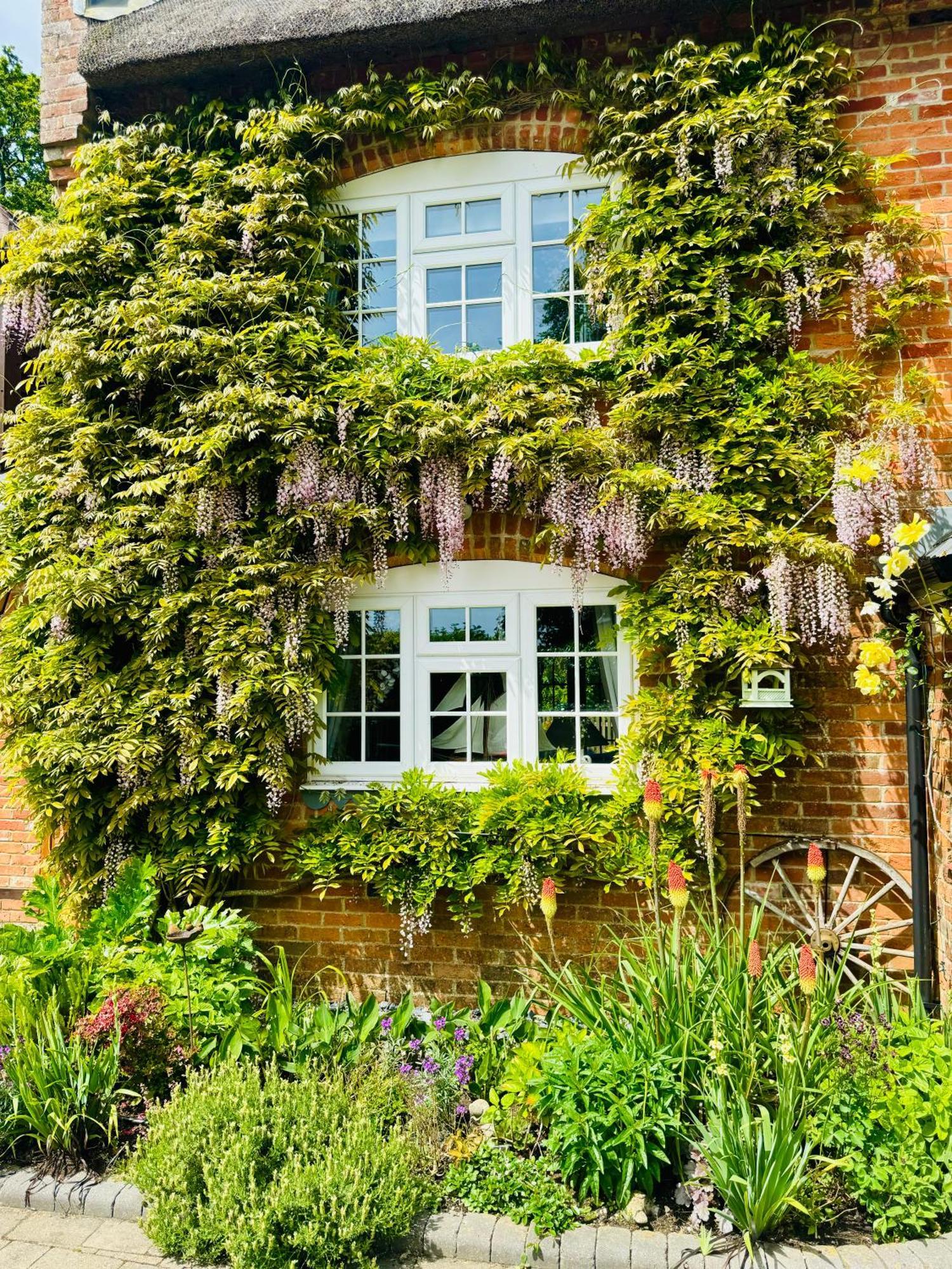 Little Woodside A Beautiful New Forest Self Contained Private Luxury Annexe Нью Милтон Экстерьер фото